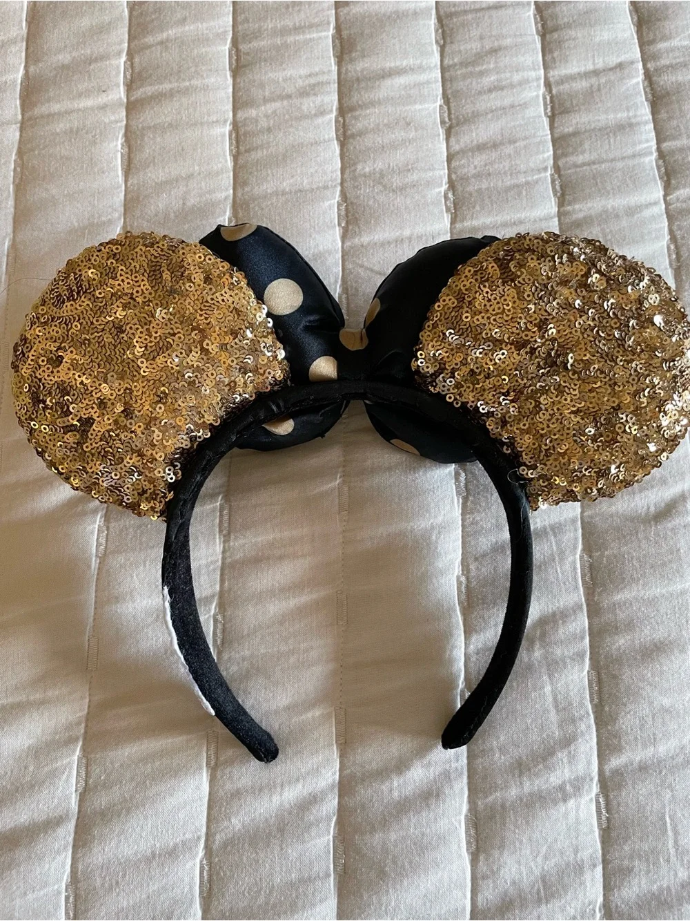 Disneyland Resort official disneyland